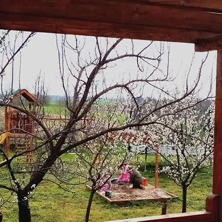 Country house Bobita Subotica